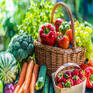 Fresh Organic Vegetables in Market - The Farmer Corner